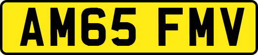 AM65FMV