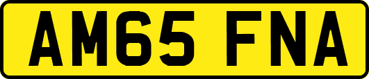 AM65FNA