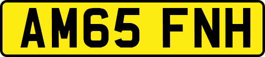 AM65FNH