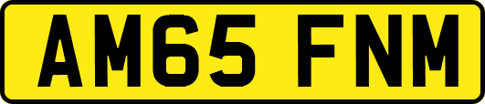 AM65FNM