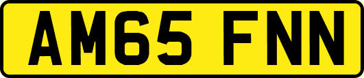 AM65FNN