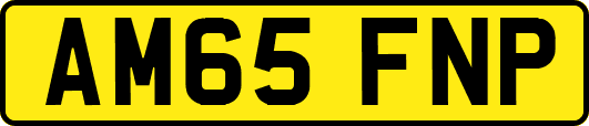 AM65FNP