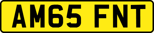 AM65FNT