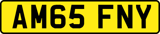 AM65FNY