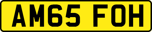 AM65FOH