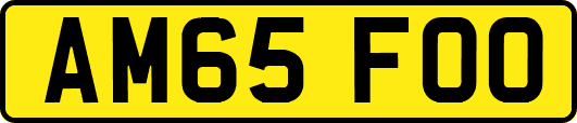 AM65FOO
