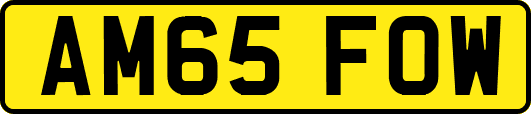 AM65FOW