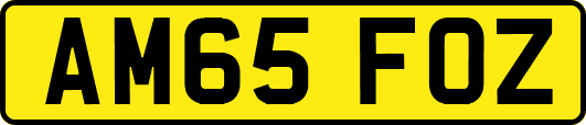 AM65FOZ