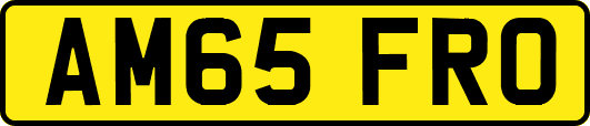 AM65FRO