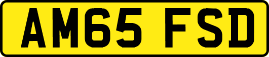 AM65FSD