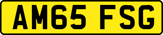AM65FSG
