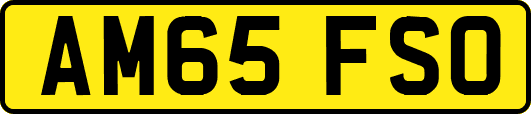 AM65FSO