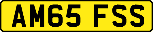 AM65FSS