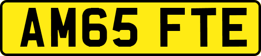 AM65FTE