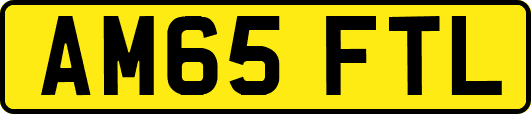 AM65FTL