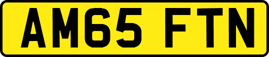 AM65FTN