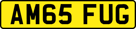 AM65FUG