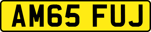 AM65FUJ
