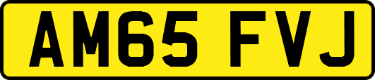 AM65FVJ