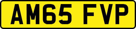 AM65FVP