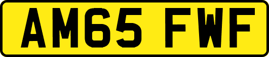 AM65FWF