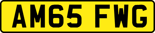AM65FWG