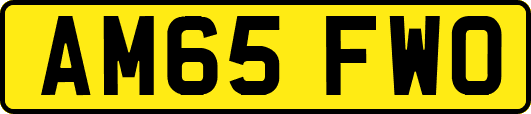 AM65FWO