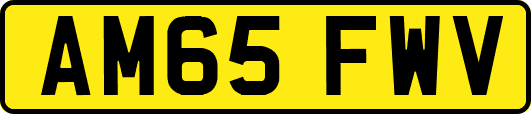 AM65FWV