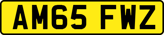 AM65FWZ