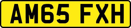 AM65FXH