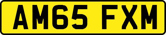 AM65FXM
