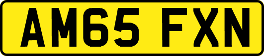 AM65FXN
