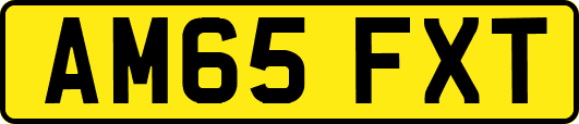 AM65FXT