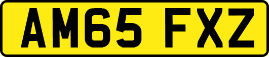 AM65FXZ