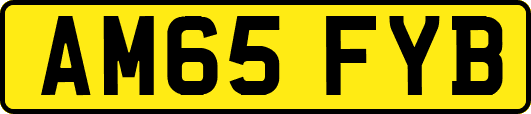AM65FYB
