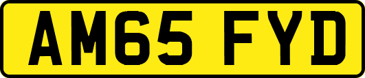 AM65FYD