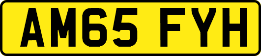 AM65FYH