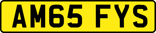 AM65FYS