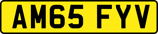 AM65FYV