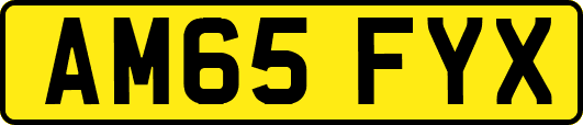 AM65FYX
