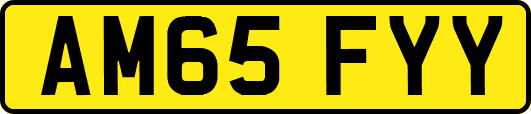 AM65FYY