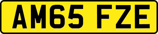 AM65FZE