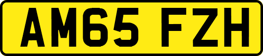 AM65FZH
