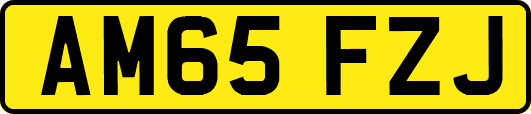AM65FZJ