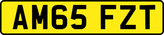 AM65FZT