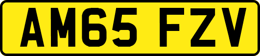 AM65FZV