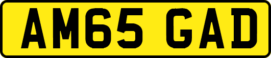 AM65GAD