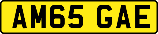 AM65GAE