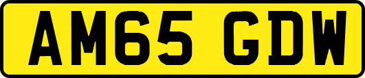 AM65GDW