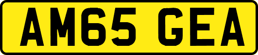AM65GEA